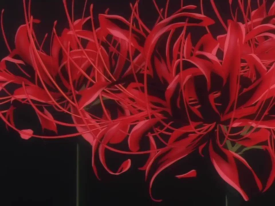 flower of death https://t.co/Iu3s4EaGdV