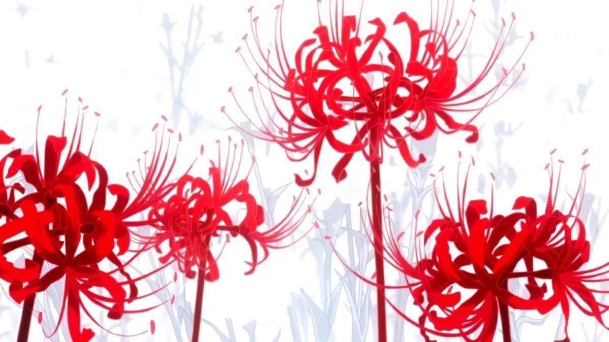 flower of death https://t.co/Iu3s4EaGdV