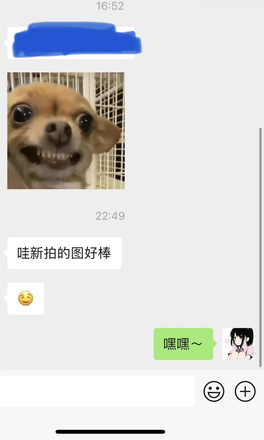 拍的新图被门槛哥们狠夸 https://t.co/pSQAsNQWGF