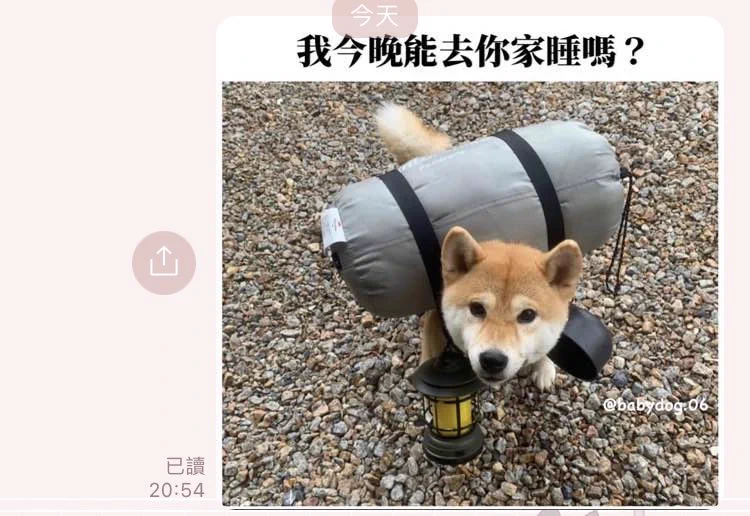 上次分享的梗圖馬上用大家用了嗎😀😀😀 https://t.co/RAuxQBvOAU