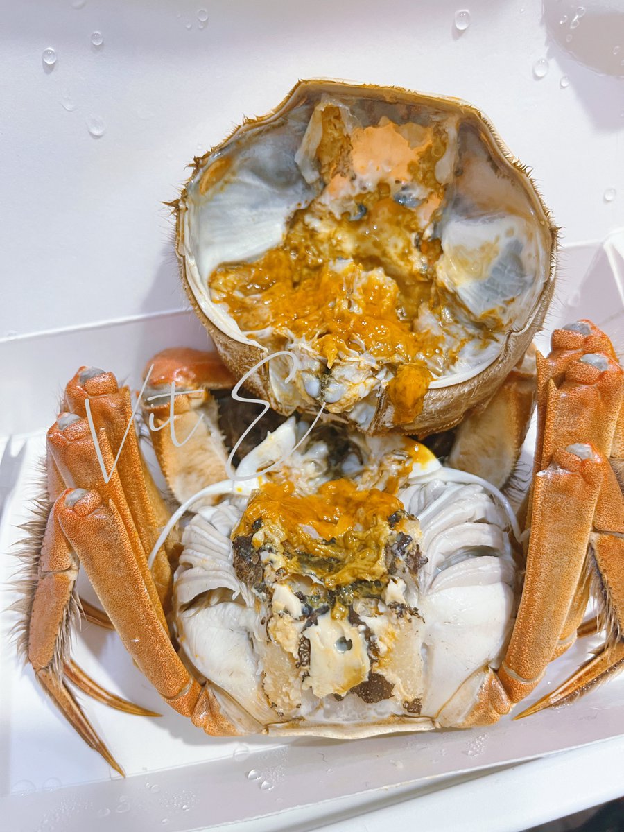 用大閘蟹把妹子騙到家裡吃吃(✽´ཫ`✽)
@luna_lunasalon 上鉤！

這招屢試不爽
每次都能成功喲💛

#OL吃什麼 #大閘蟹 https://t.co/GjeRDMfHxr