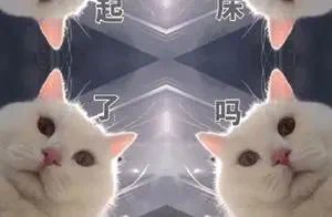 @TuxdomaskZY 感觉像极了这个表情包🤣 https://t.co/rXBX7ri0Se