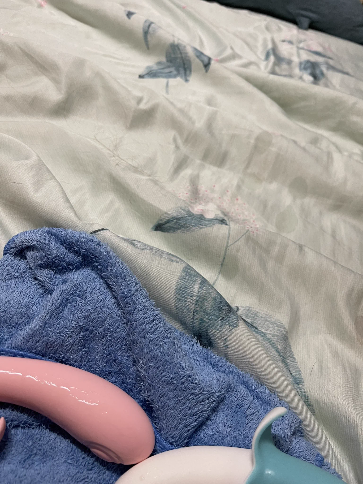最近亂經每天都像發情小狗勾🥺-都墊了浴巾還是逃不過換床單ㄉ命🥲 https://t.co/Q61DnYEgVF