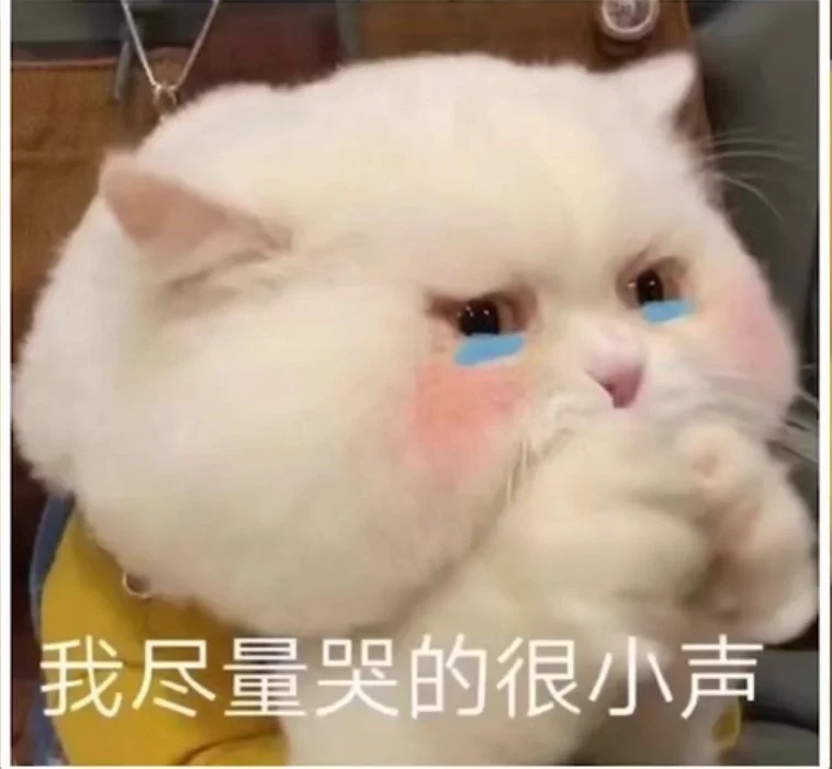 想去青海吃烤大肉串！吃烤羊腿！吃炮仗面！吃烤牛板筋！可是我现在哪里都去不了！ https://t.co/31slKWYMvF
