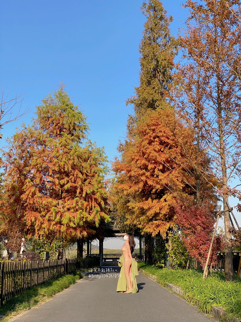 郁金香哪有哥哥的浴巾香。@SMlnZhl https://t.co/HB5gg2J1Kz