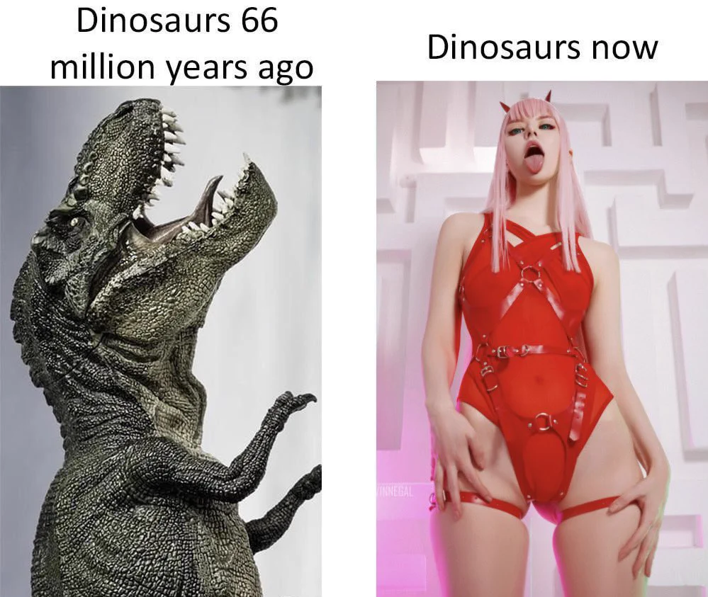 ZeroTwo’s general, l3wd and t0pless photos can be found here ⬇️🦖 https://t.co/pVCTRaEIgK ✨ HQ pics🦖 https://t.co/wWthfzvq1M ✨ phone pics pack soon 💕 https://t.co/njw4LdxUj1