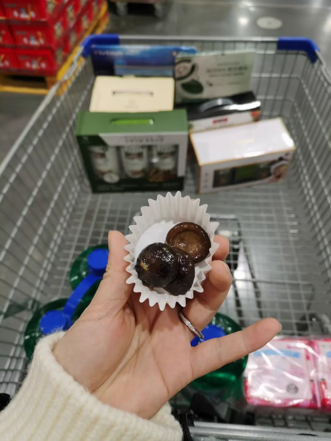 吃哪个？我喂你吃呀😛😛 https://t.co/79aXNzVZtH