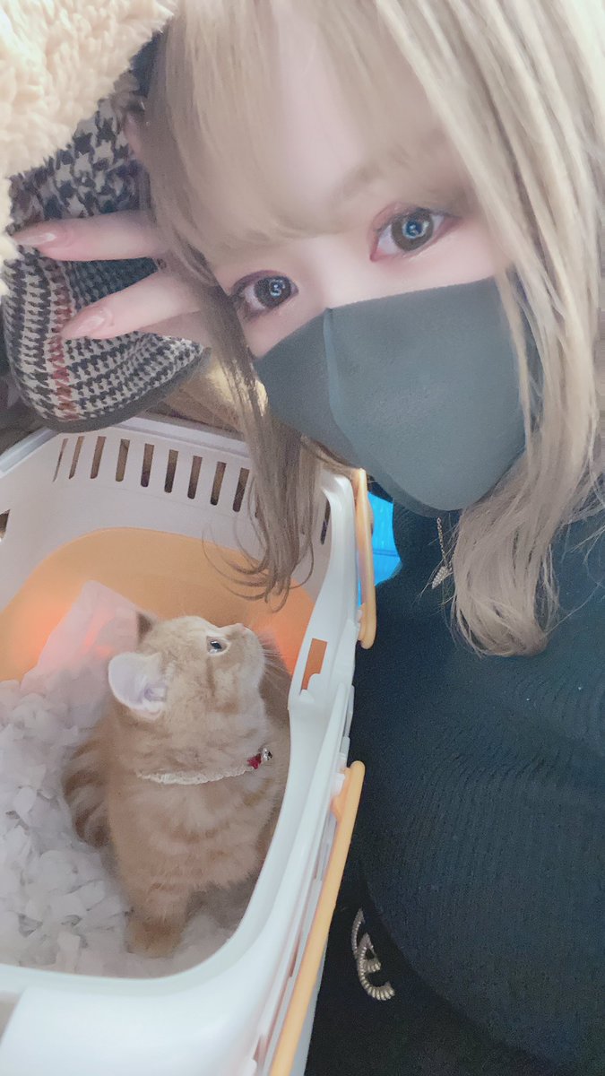 そういえば昨日でいくらと出会ってから１年経った🥺💕
大阪から新幹線で一緒に帰ってきたの懐かしい😢
こんなに大きくなってくれて嬉しい😭✨ https://t.co/C0cI6sUi7a