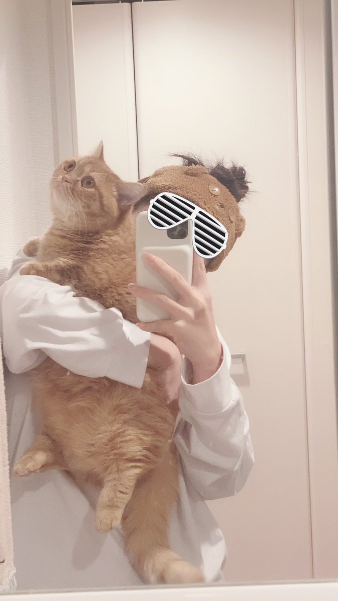 そういえば昨日でいくらと出会ってから１年経った🥺💕
大阪から新幹線で一緒に帰ってきたの懐かしい😢
こんなに大きくなってくれて嬉しい😭✨ https://t.co/C0cI6sUi7a