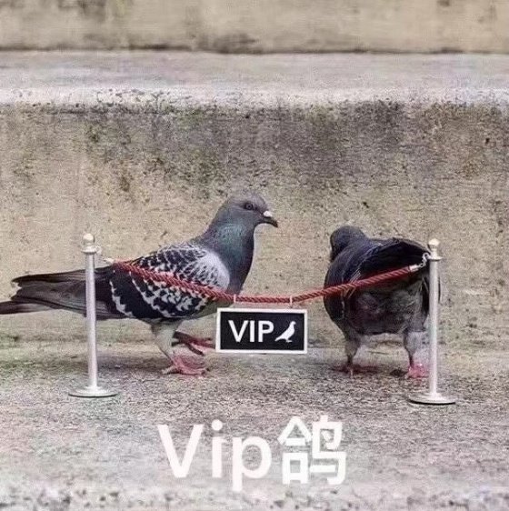 关于为什么最近我都不更新图了，我只想说：
再等等，
就快了，
在想了，
已经计划好了，
马上就出了，
I'm almost there。 https://t.co/761K1HI5dM