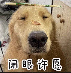 今年畅子要许愿不想当穷畅了 想当红畅火畅有钱畅但是许愿不能这么不厚道 还是得有交换的 所以我愿意用那两个狗屎前男友的命来换我荣华富贵 拜托了！！！ https://t.co/f0i5bMWymq