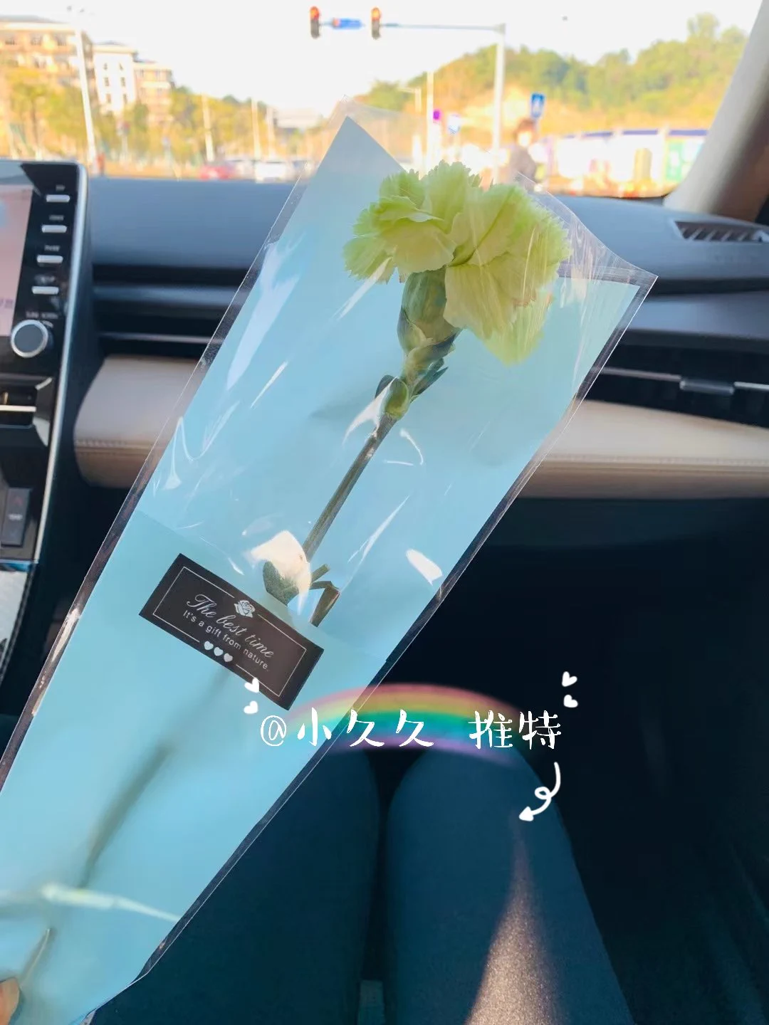 小区发的康乃馨，呵呵呵呵呵呵，我有那么老吗？ https://t.co/t6pyMZDp0g