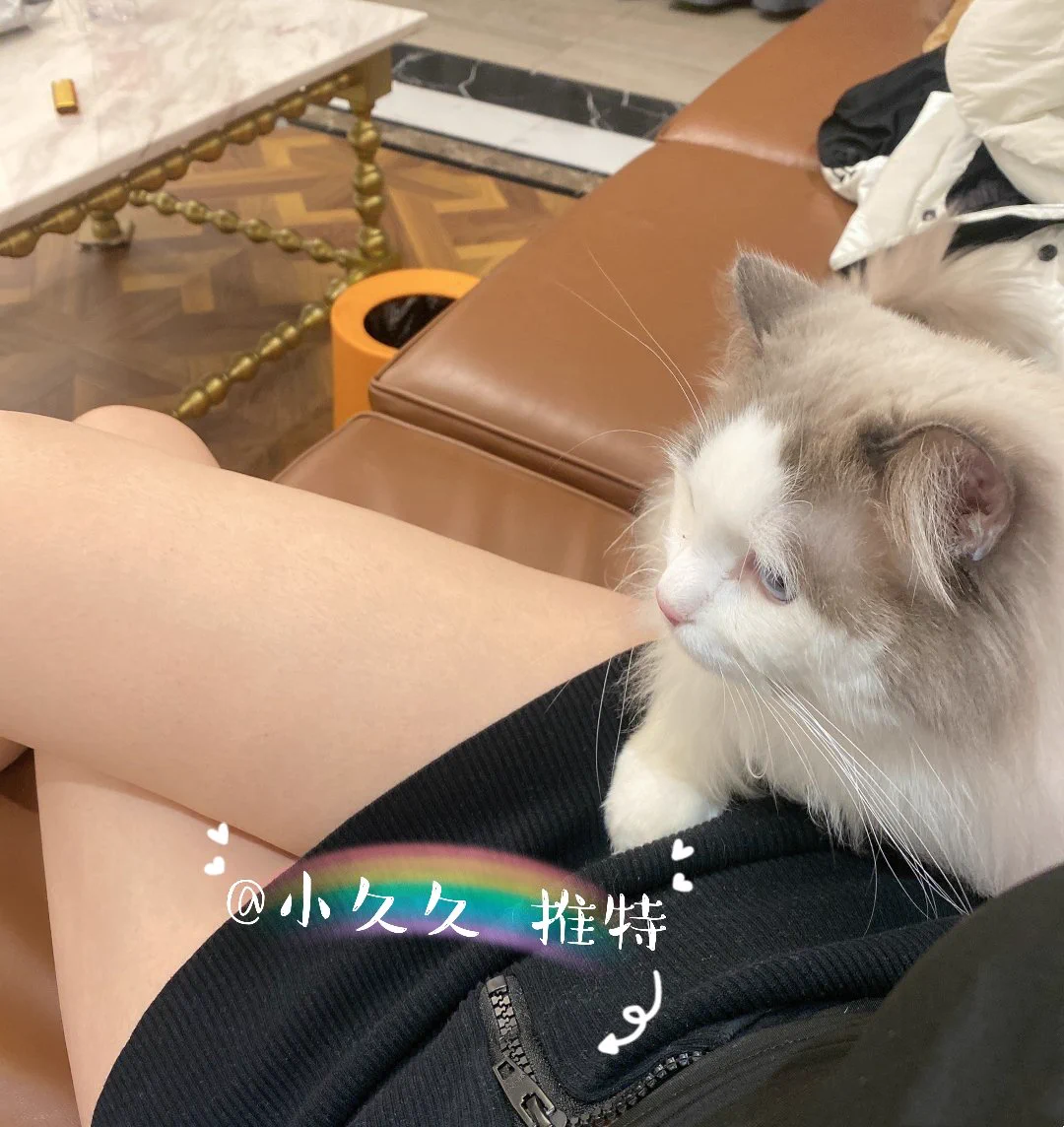 肯定是公猫，特别喜欢粘我，哈哈哈哈 https://t.co/ek3vJpRAHx