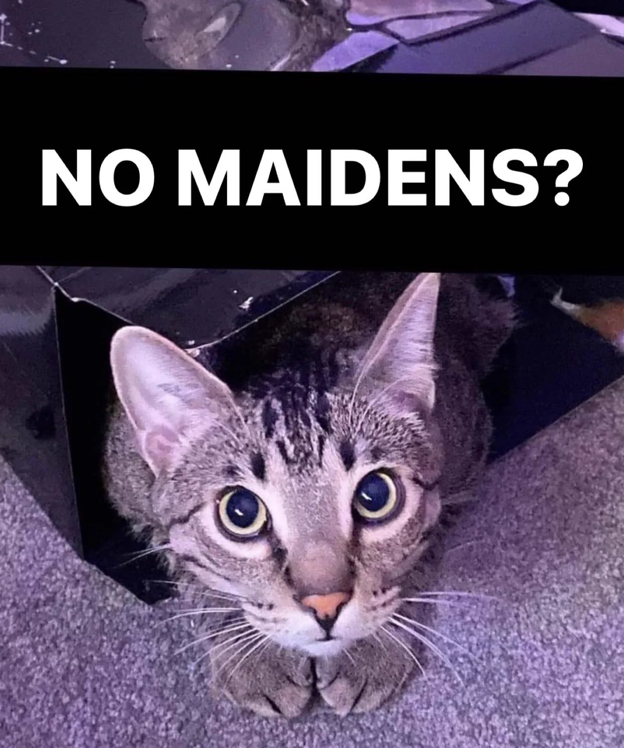 Maidenless?? https://t.co/G54ZpIvVzG