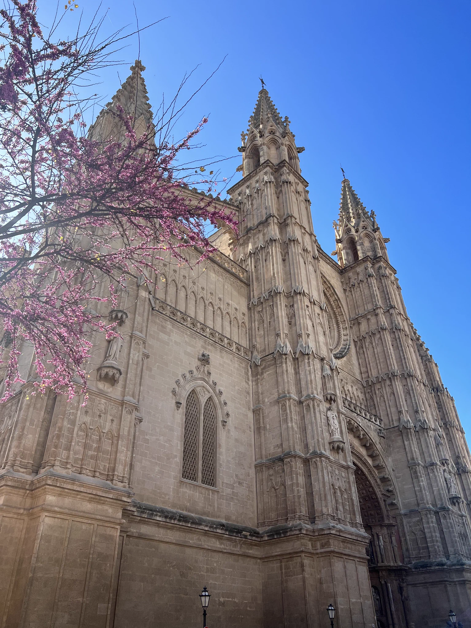 palma de mallorca, spain 💞 https://t.co/2nkIeZSmNf