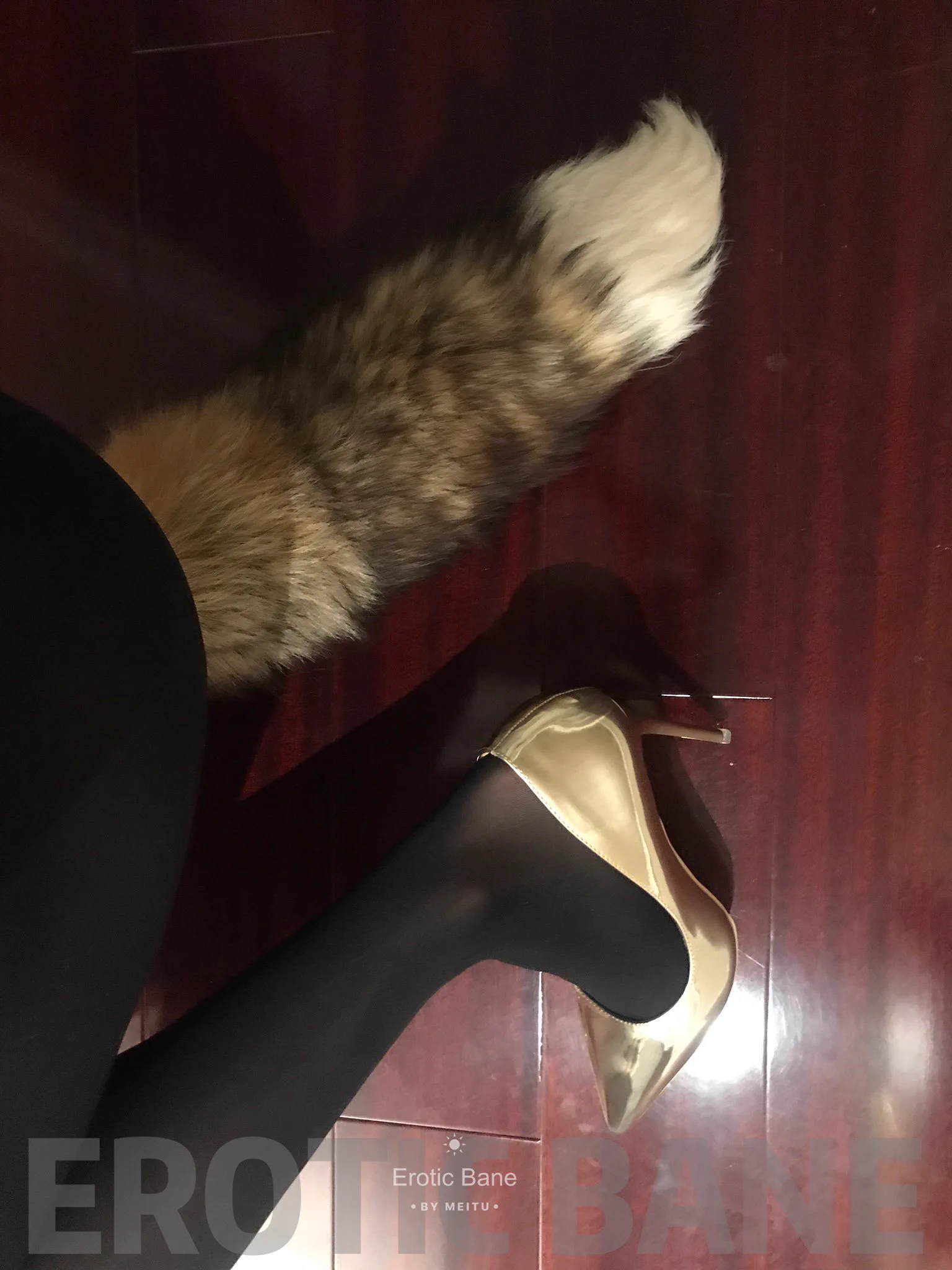 @tailhome0702 我也是超爱带尾巴哦😋，可能是因为被调教过吧 https://t.co/HhXQvMeFIa
