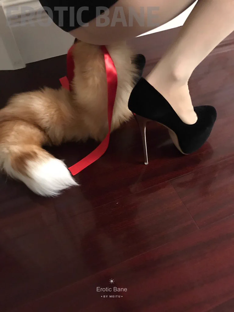 @tailhome0702 我也是超爱带尾巴哦😋，可能是因为被调教过吧 https://t.co/CrT1Rjr364