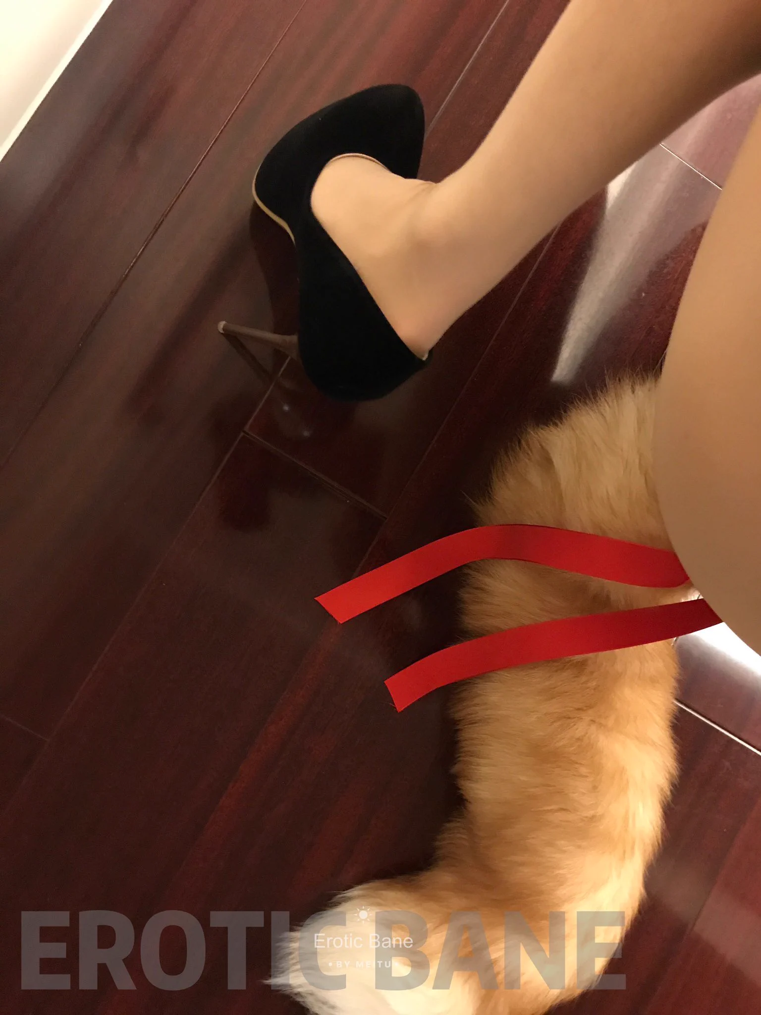 @tailhome0702 我也是超爱带尾巴哦😋，可能是因为被调教过吧 https://t.co/r4zlOHtc6s