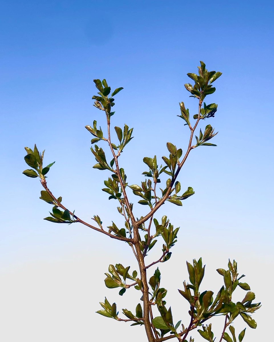 @fuxkmegoodthx 这两个色调我都喜欢 https://t.co/dSqkffQxCg