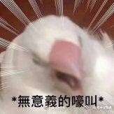 希望腰围能变成66cm！！！屁股变成100cm！！胸围保持93cm！！！听到了吗！！！ https://t.co/lAWpRutM2Z