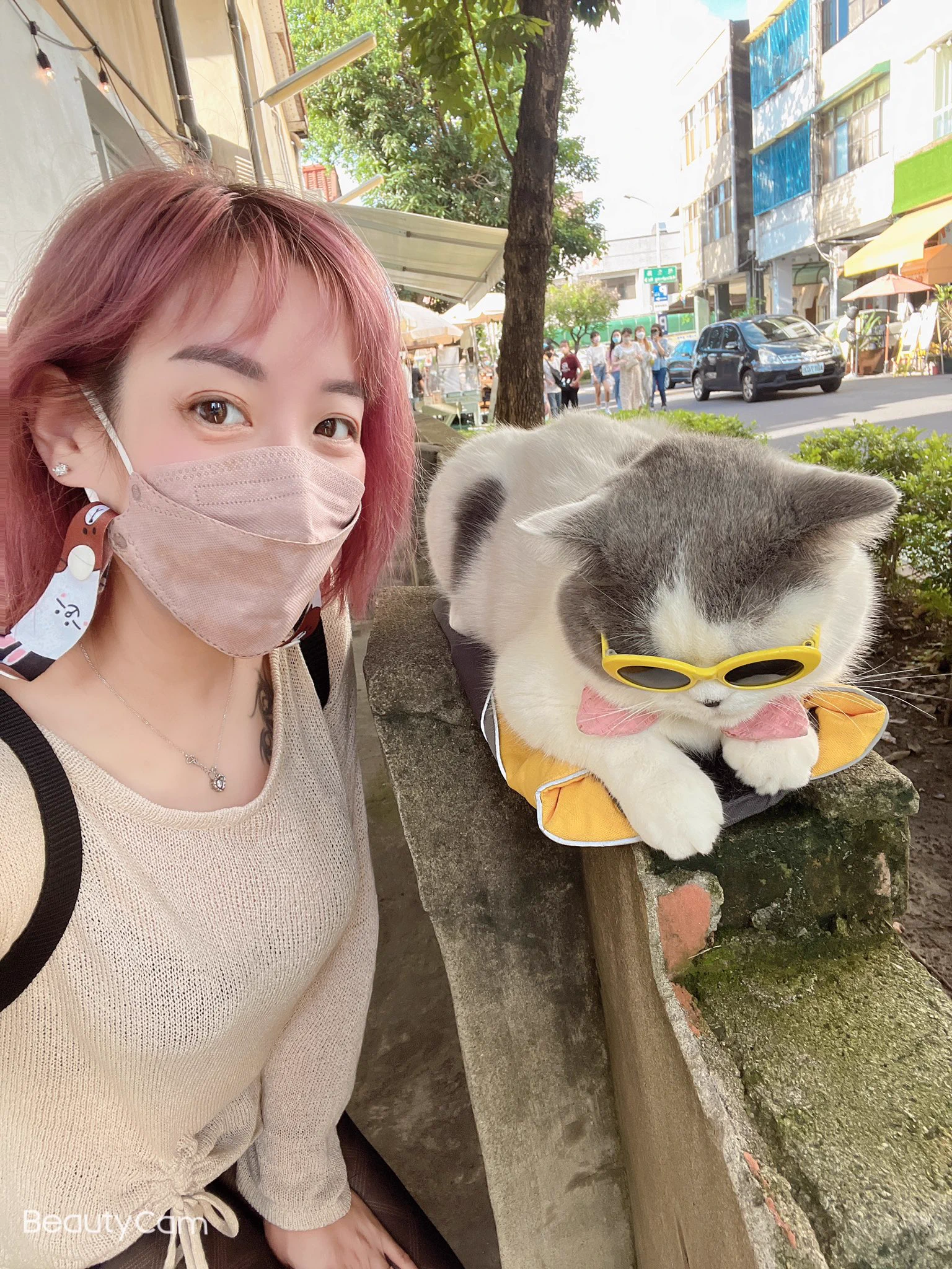 巧遇可愛喵喵 超乖 https://t.co/wWVBXkelu4