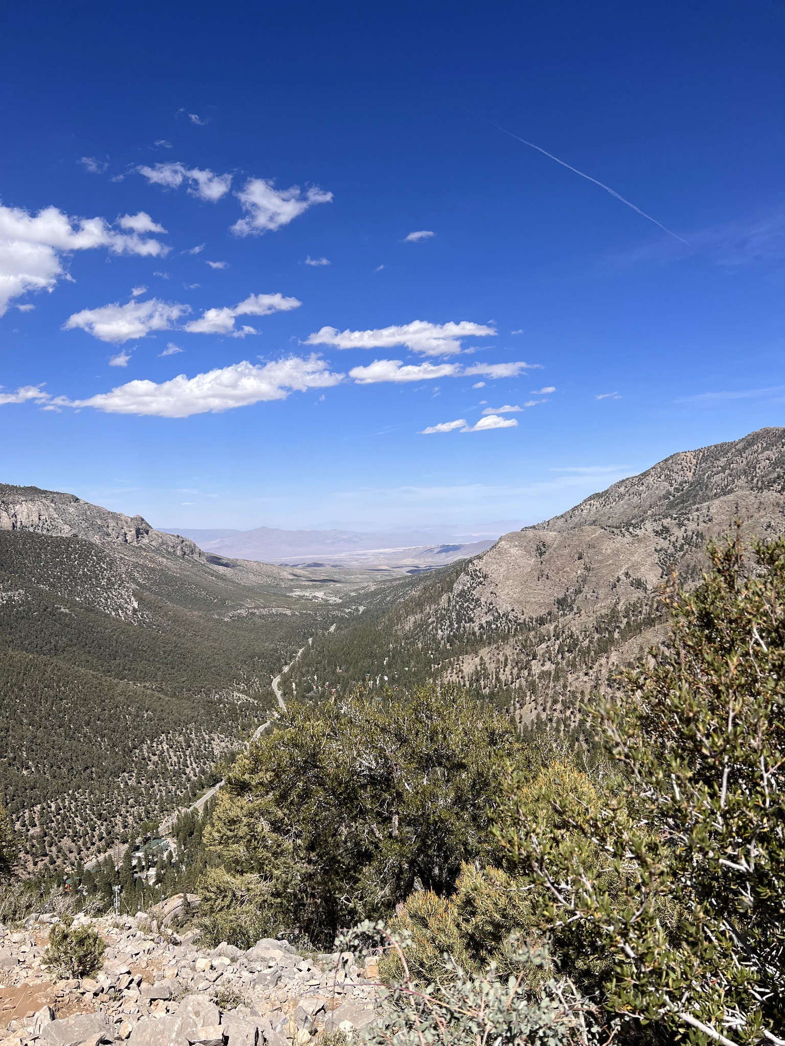view without my huge fat ass https://t.co/WQOJ8H0vdV