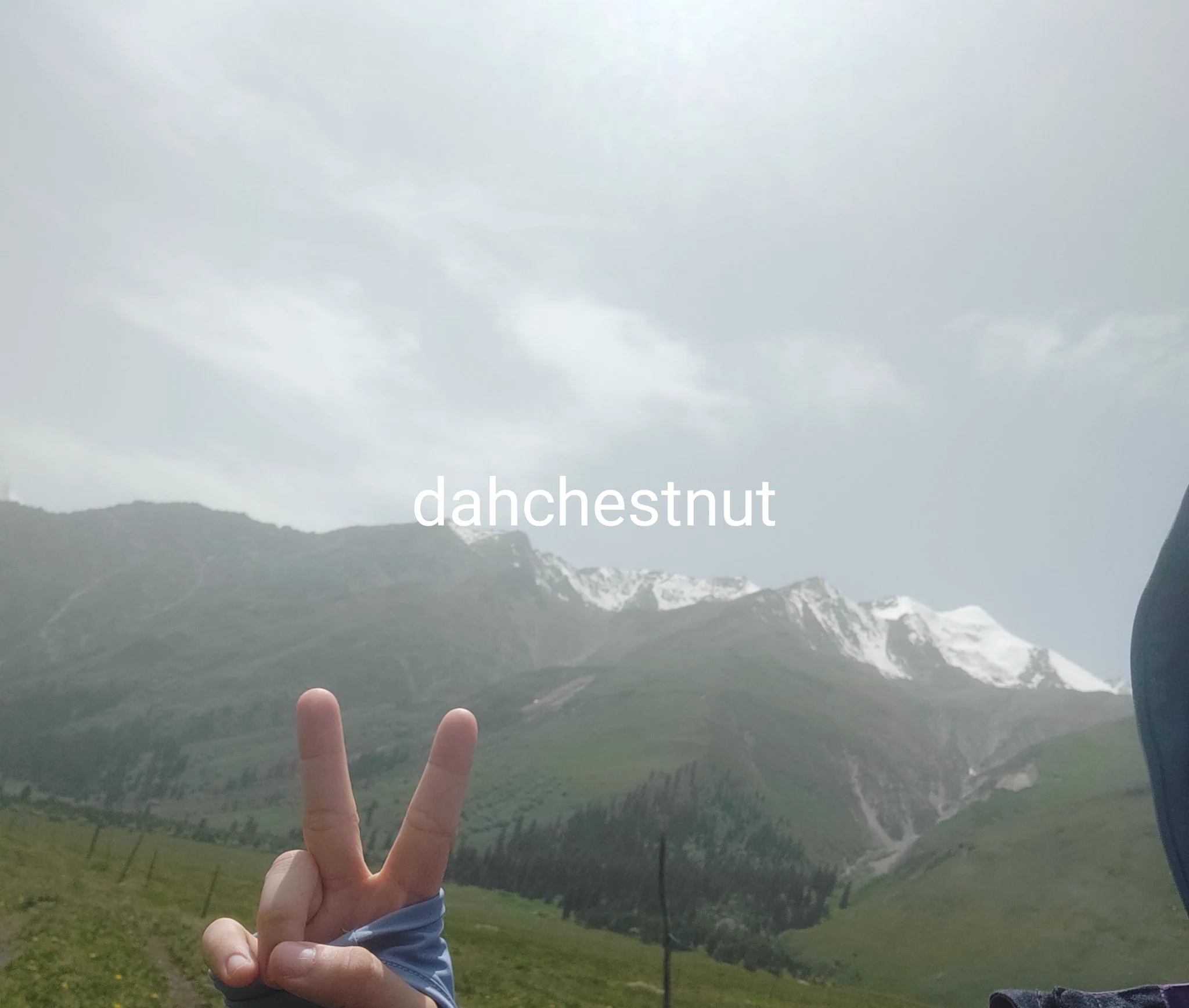 一直走到群山中只剩我了，那么渺小#一个人的旅行 https://t.co/SEPvEscrMl