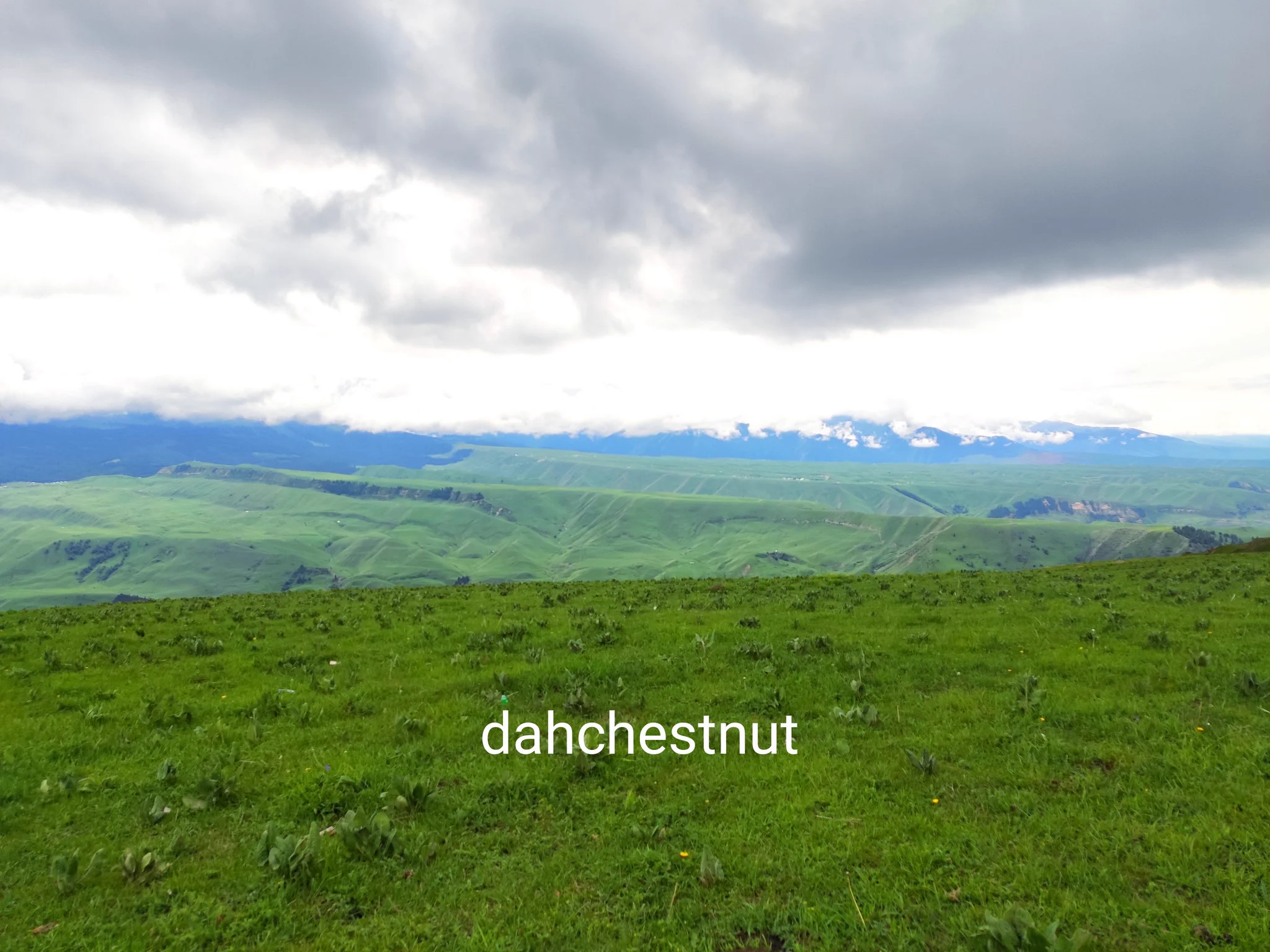 晚上刚出山，现在在城里，薄荷app说我能多吃7000大卡的食物。#一个人的旅行 https://t.co/b0ZryMAYHM