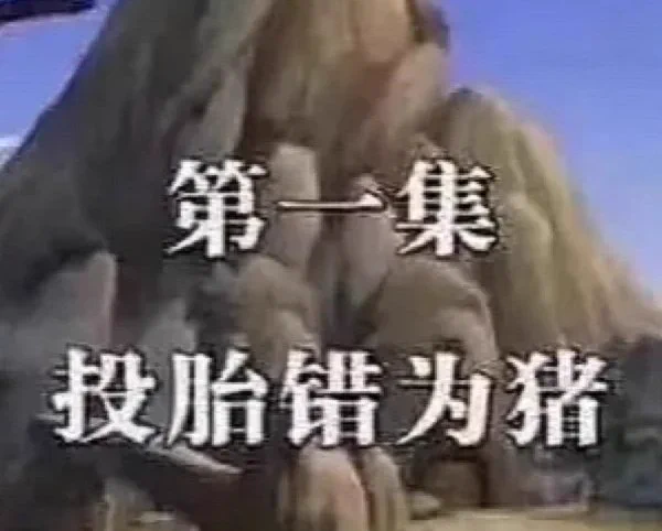 我承认我一生作恶多端，什么报应天谴我都愿意承担，但是能不能别让我窜稀了，我他妈窜大半天天了😭😭😭😭😭😭😭😭😭 https://t.co/96OvK03JGN