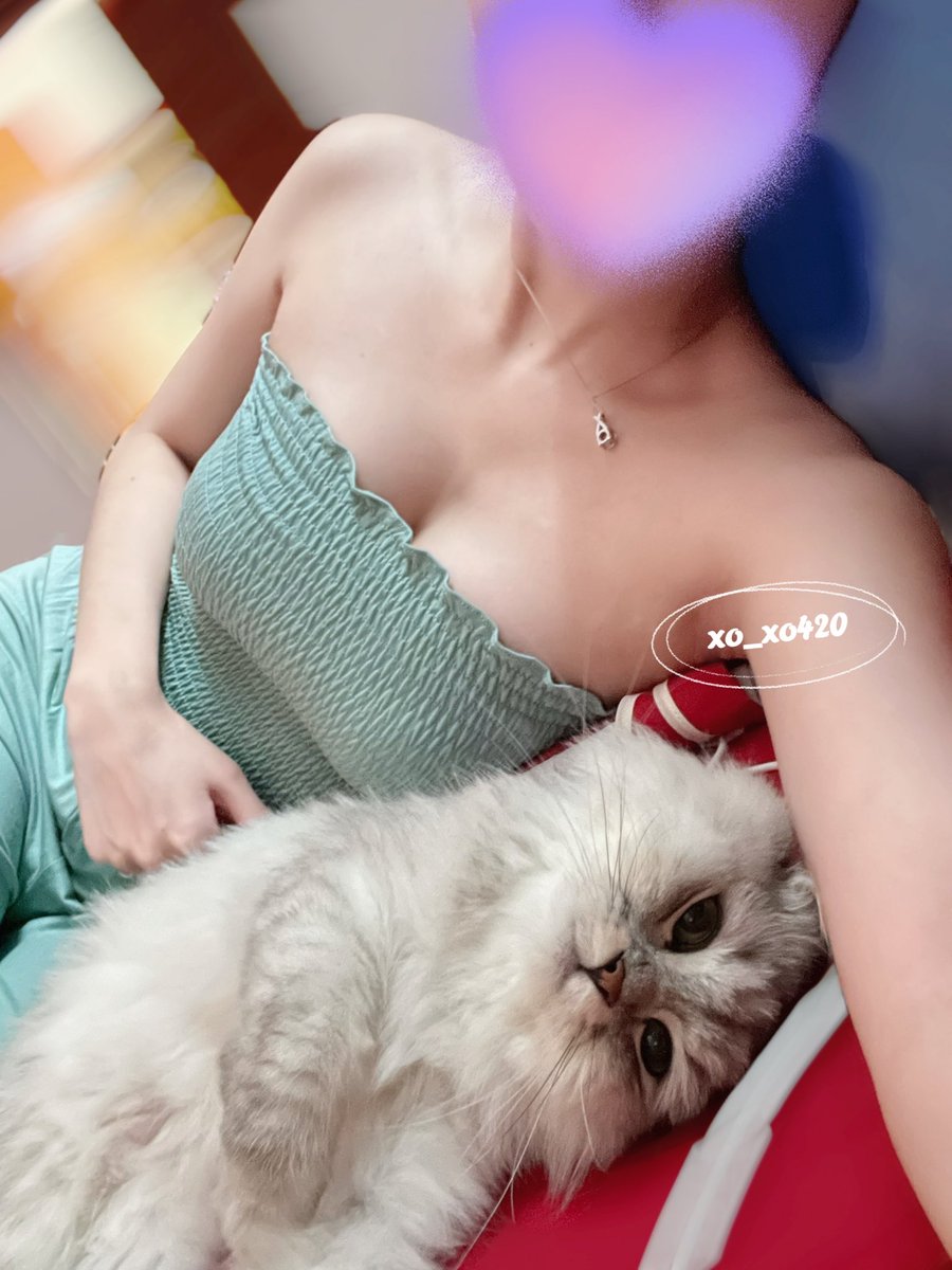 希望貓咪可以治癒你
如果一份不行
那就兩份❤️

撒嬌鬼小摩卡 https://t.co/yFP0kRPYHv
