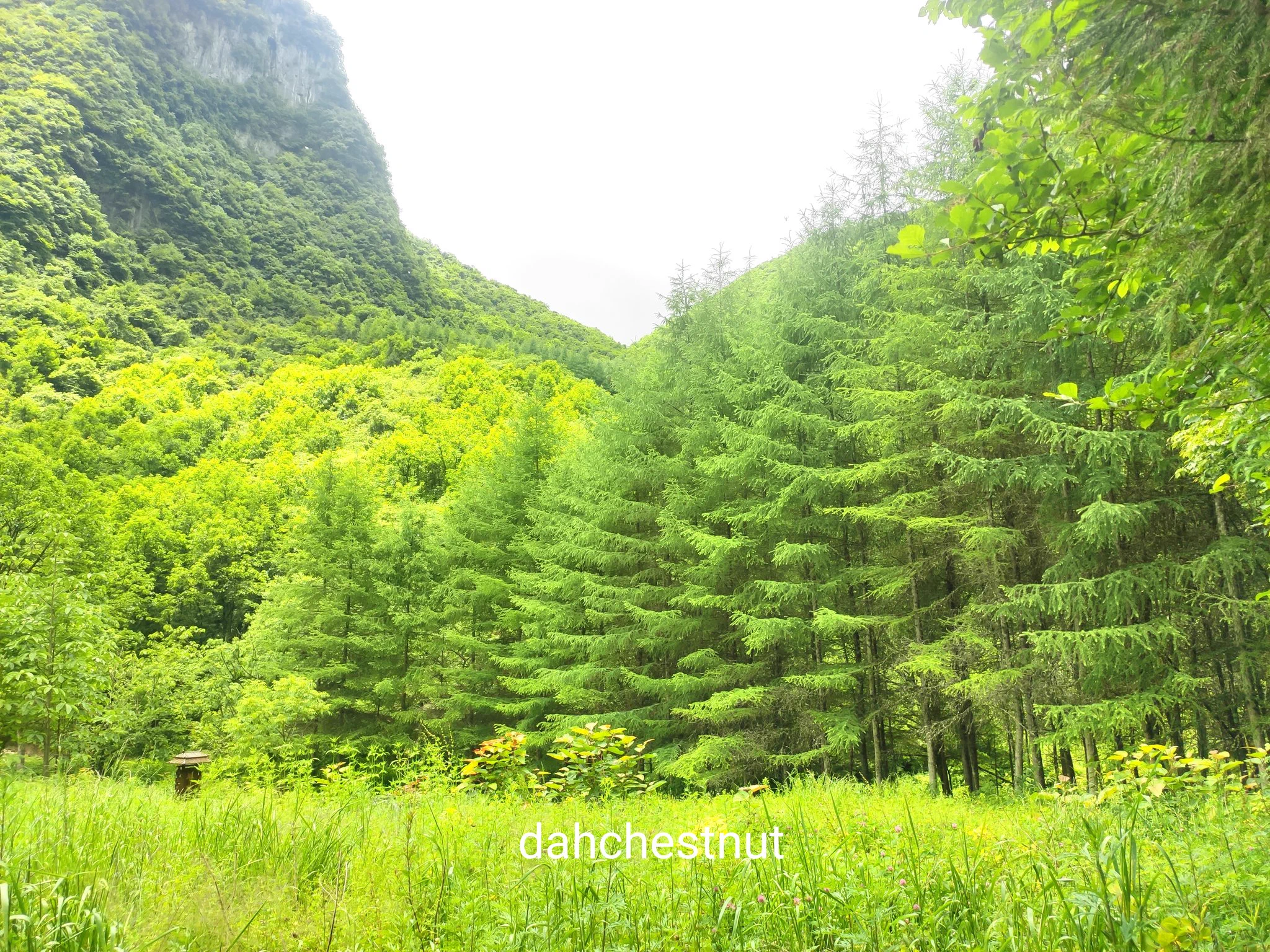 真是水草丰茂万物生长生灵充沛的季节呢！#一个人的旅行 #我又换了个地方继续浪～ https://t.co/BPu7qf6A4W