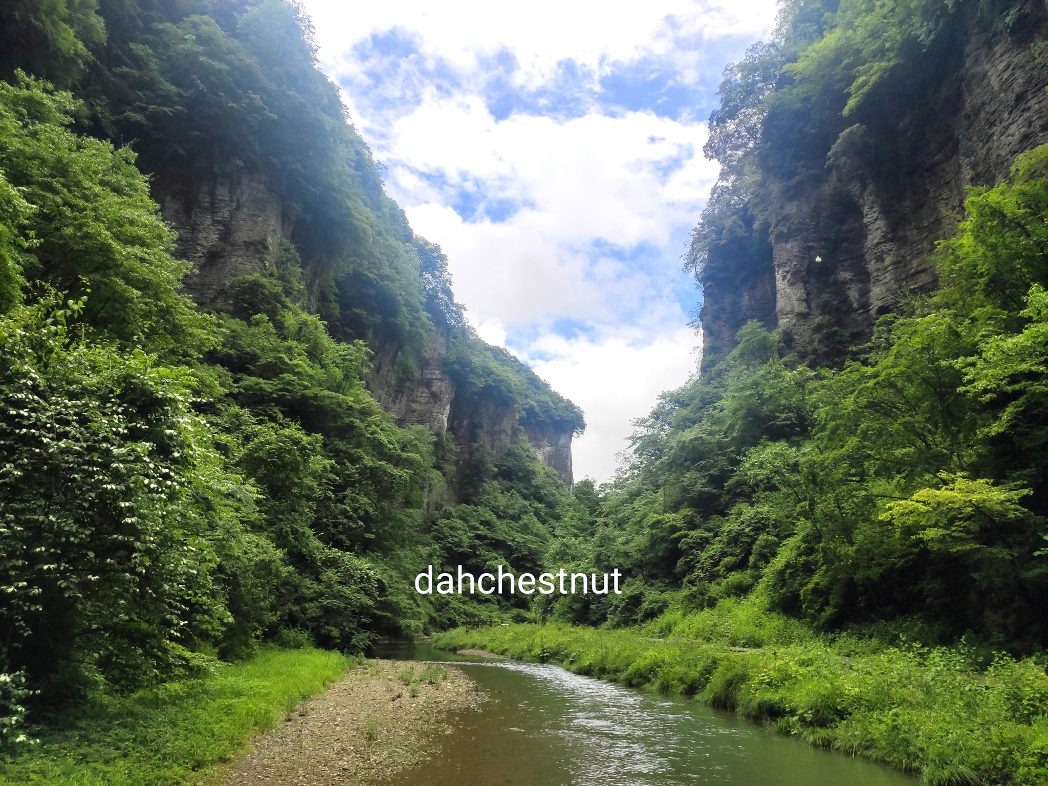真是水草丰茂万物生长生灵充沛的季节呢！#一个人的旅行 #我又换了个地方继续浪～ https://t.co/BPu7qf6A4W