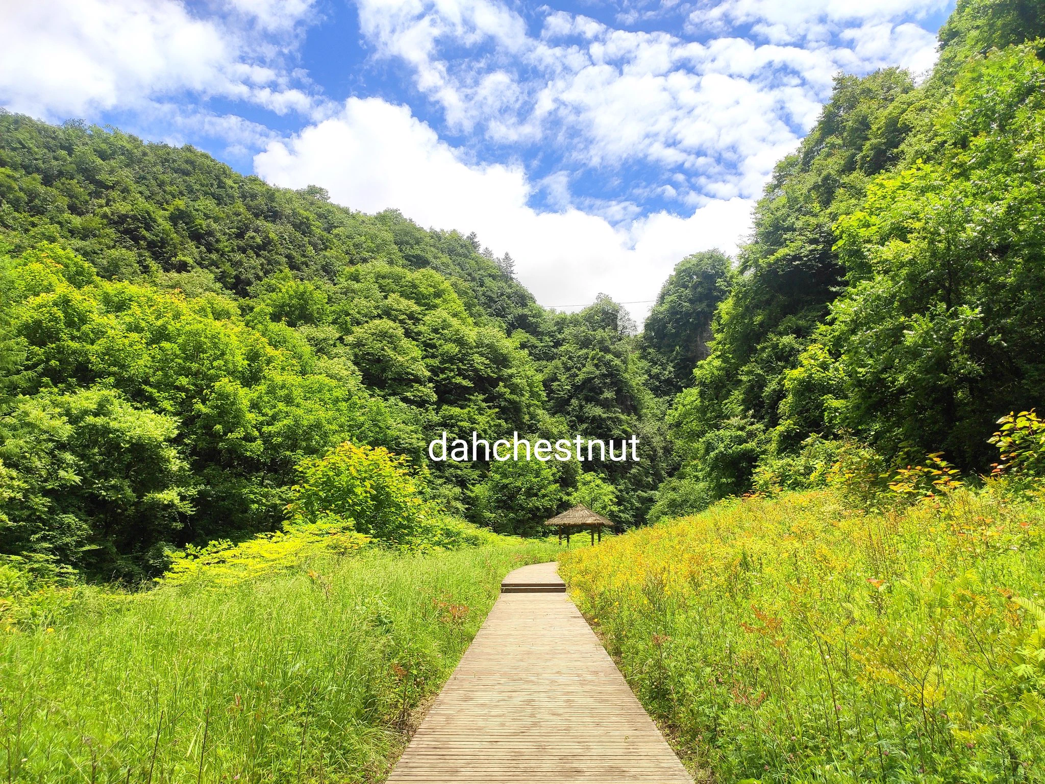 真是水草丰茂万物生长生灵充沛的季节呢！#一个人的旅行 #我又换了个地方继续浪～ https://t.co/BPu7qf6A4W
