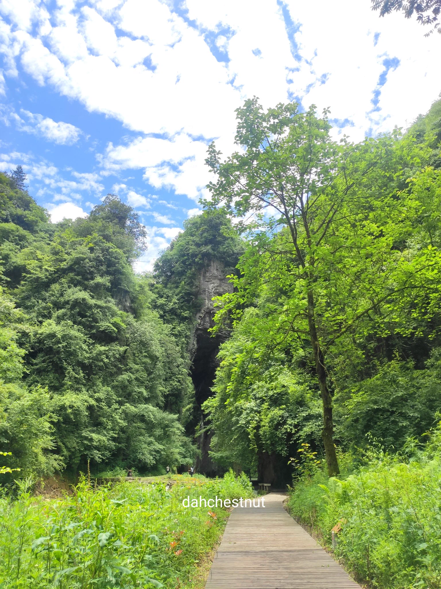 叮咚～旅行青蛙今天的明信片又寄来啦～今天沿着小溪走到好大一个山洞前面，山洞里有小瀑布，好凉快好凉快，赶紧踩了下水，脚趾被凉水一激灵全身都通透了(✪▽✪)前面有大叔在钓鱼，看来今天运气不错，没有空军呢！#一个人的旅行 https://t.co/cFNcFesGi2