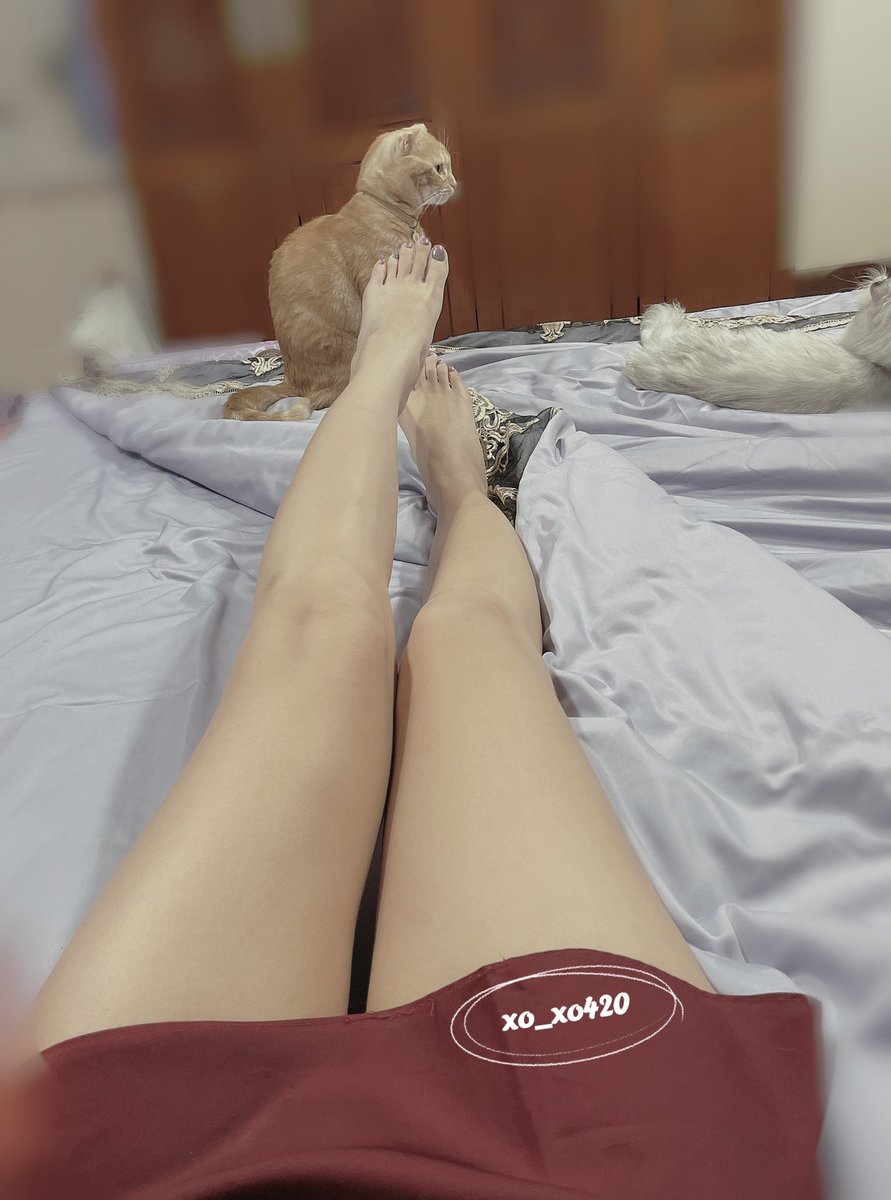 最近都在忙著回覆詢問瑪卡的訊息
好幾天沒發照片了

給你們看看用腳逗兒子的我
看來他不是足控😮‍💨

#詢問產品記得有禮貌喔
#已讀不回很失禮 https://t.co/nFRtvYsUIh