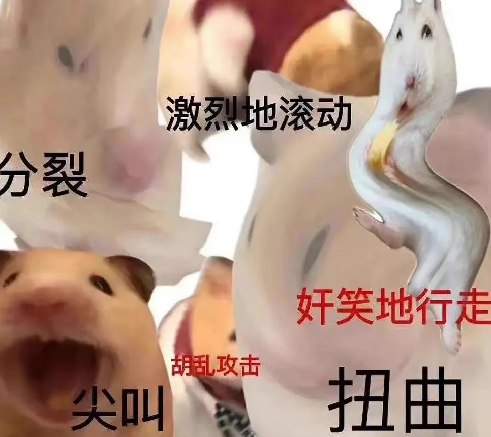 一些生活经验：当对方说，冒昧问一句/多嘴问一下/有一个问题希望不会冒犯到你 ，的时候下一句话绝对不是什么好话，基本是大清早触我霉头的程度。 https://t.co/5YD6oyaX3D