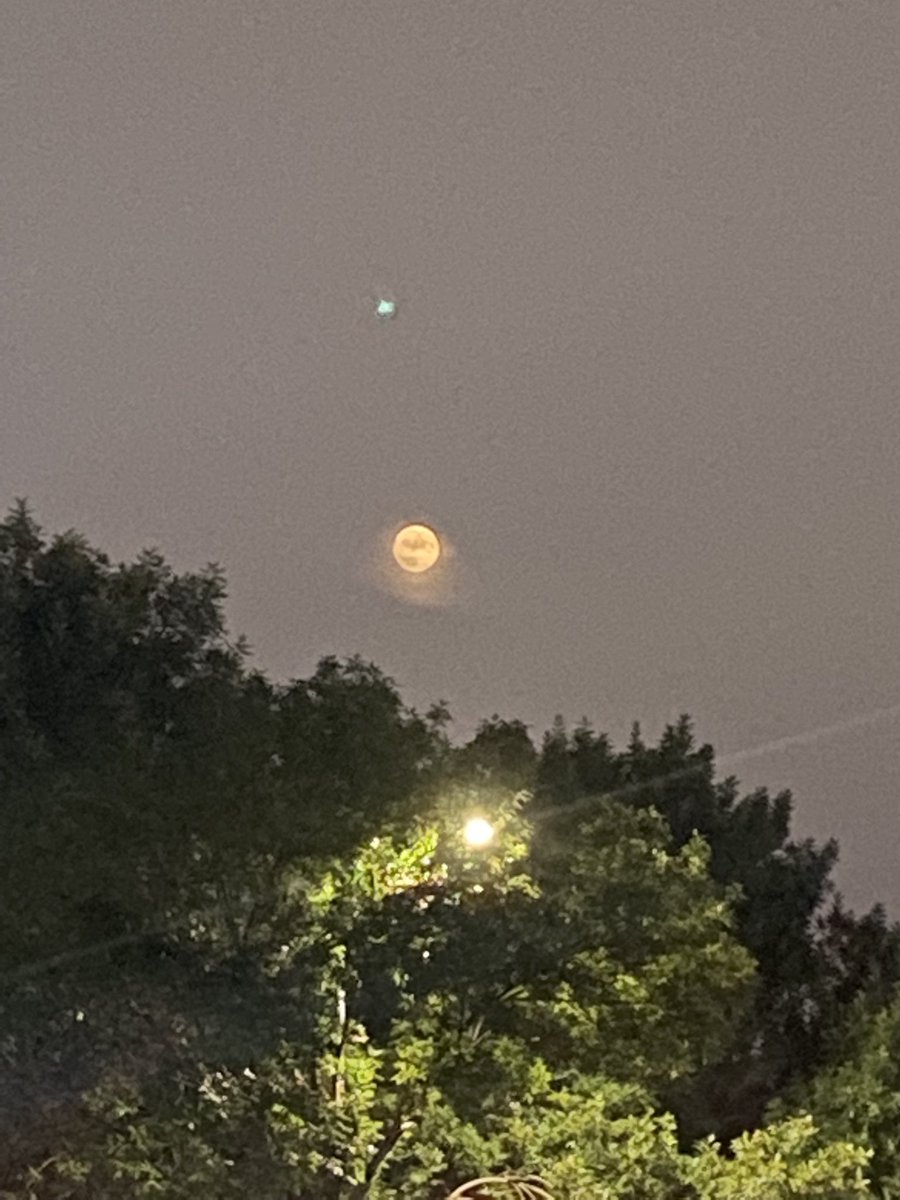 花好月圆人长久 https://t.co/WAS3AsOFQB