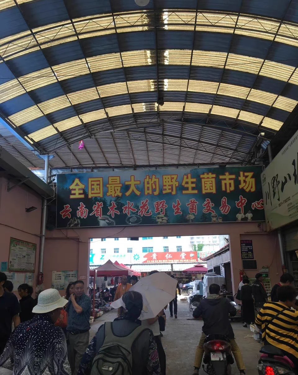情人节来云南玩了，在车上有个游客问我跟妈妈的关系，我妈说，我们是夫妻，那个人说，看我们还挺有夫妻相，真的很会说话。这句话我妈一直记在心里，开心了一整天。可惜今天太累了，洗完澡她就睡着了，只能明天再日她了 https://t.co/2DVxj98E6d