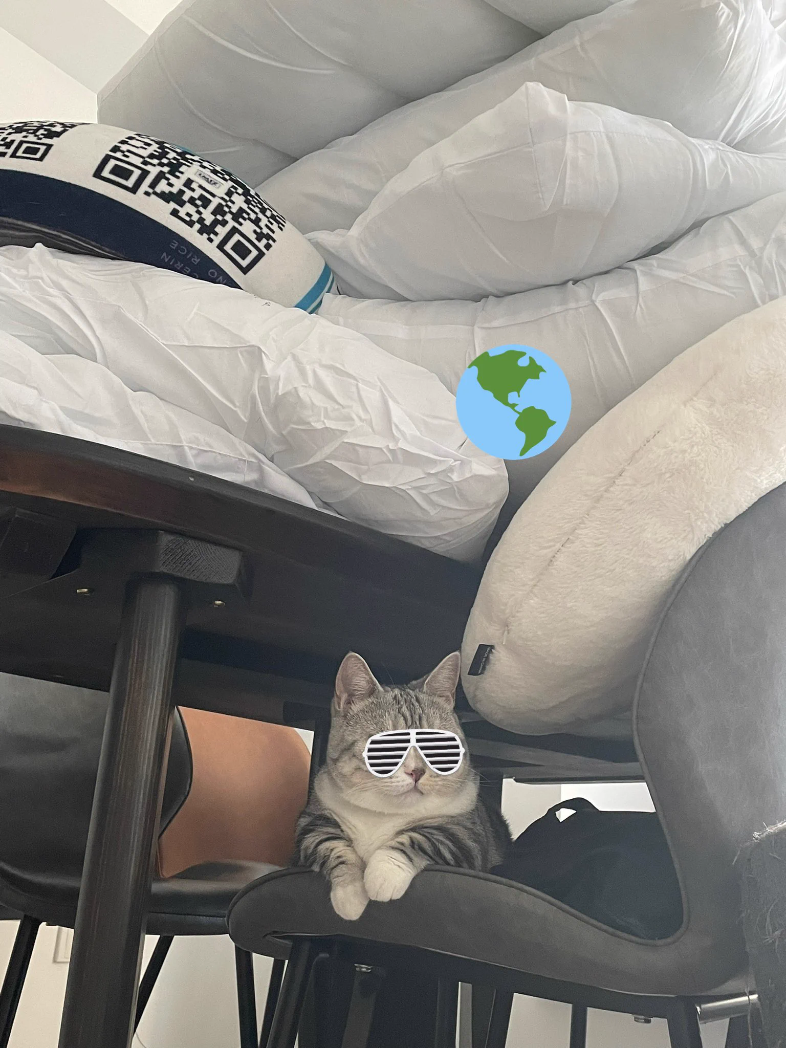 猫毛太多了，阿姨打扫了四个小时愣是没打扫完。。。。。 https://t.co/UleL7oF09p