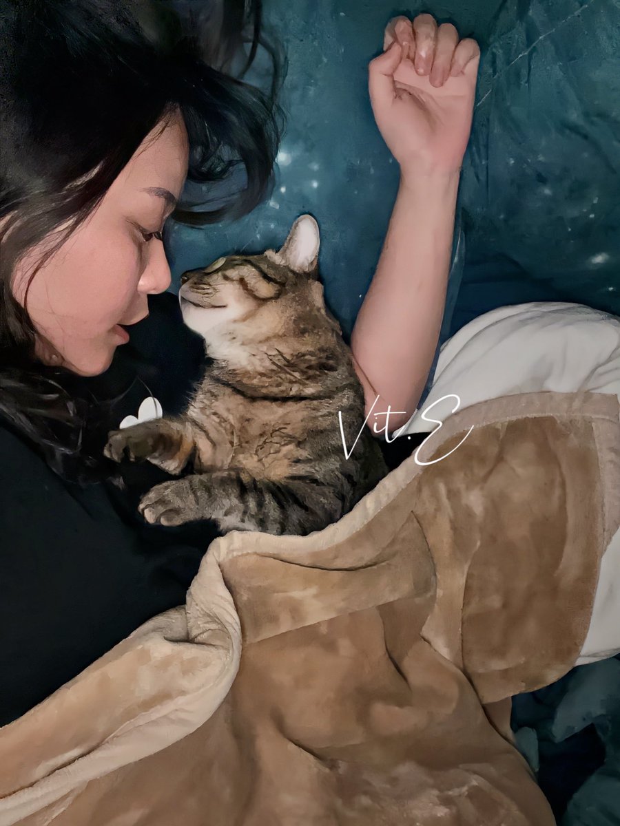 天氣冷了
小貓咪會鑽進棉被裡一起睡覺💓

#三寶是隻話癆胖貓咪 

有人說我跟小貓咪很像🥺 https://t.co/hHFidtXZ0S