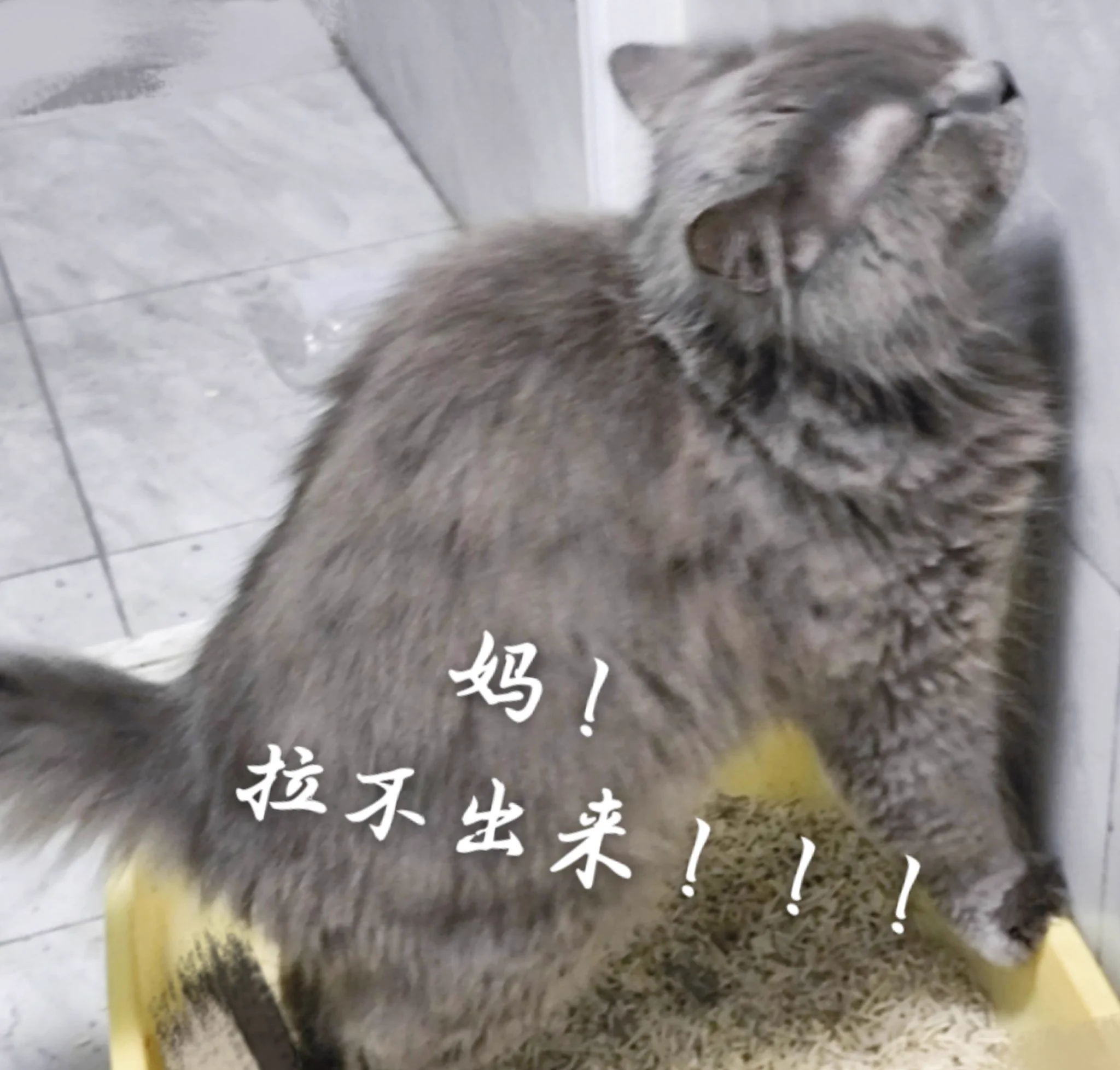 突然觉得躺在床上一个人的感觉好舒服啊～ https://t.co/n2g3Qmdpfr