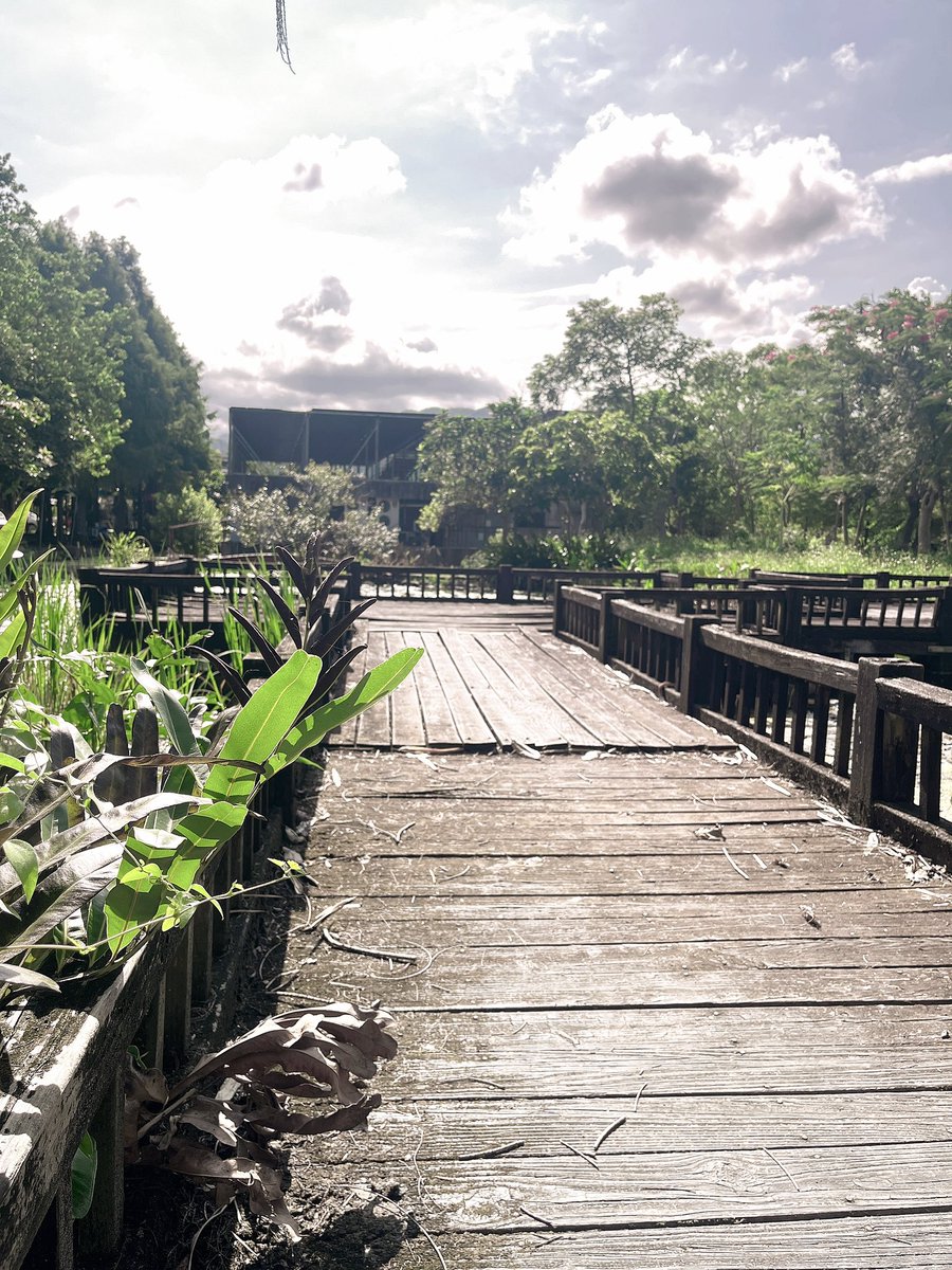 有一個會拍照的男朋友很加分，給你一個讚😄 https://t.co/ciztlSWzfW