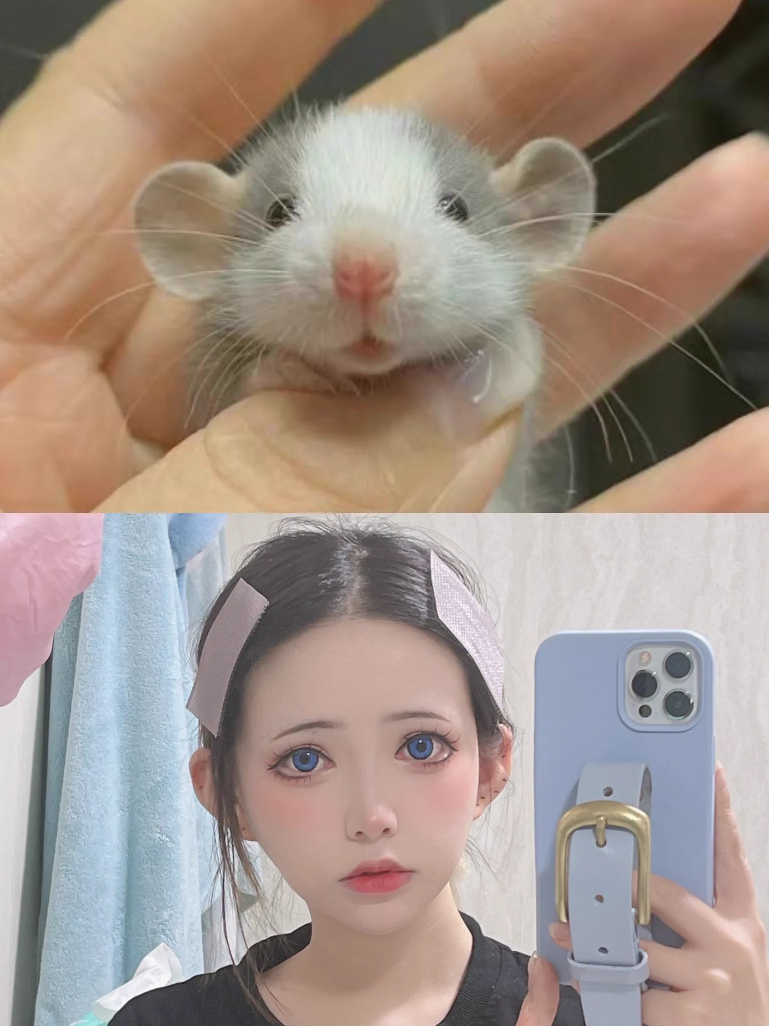 哈哈哈哈哈哈哈哈！！好像確實很像一個小耗子🐹 多可愛呀！ https://t.co/aRCDx8e7k2