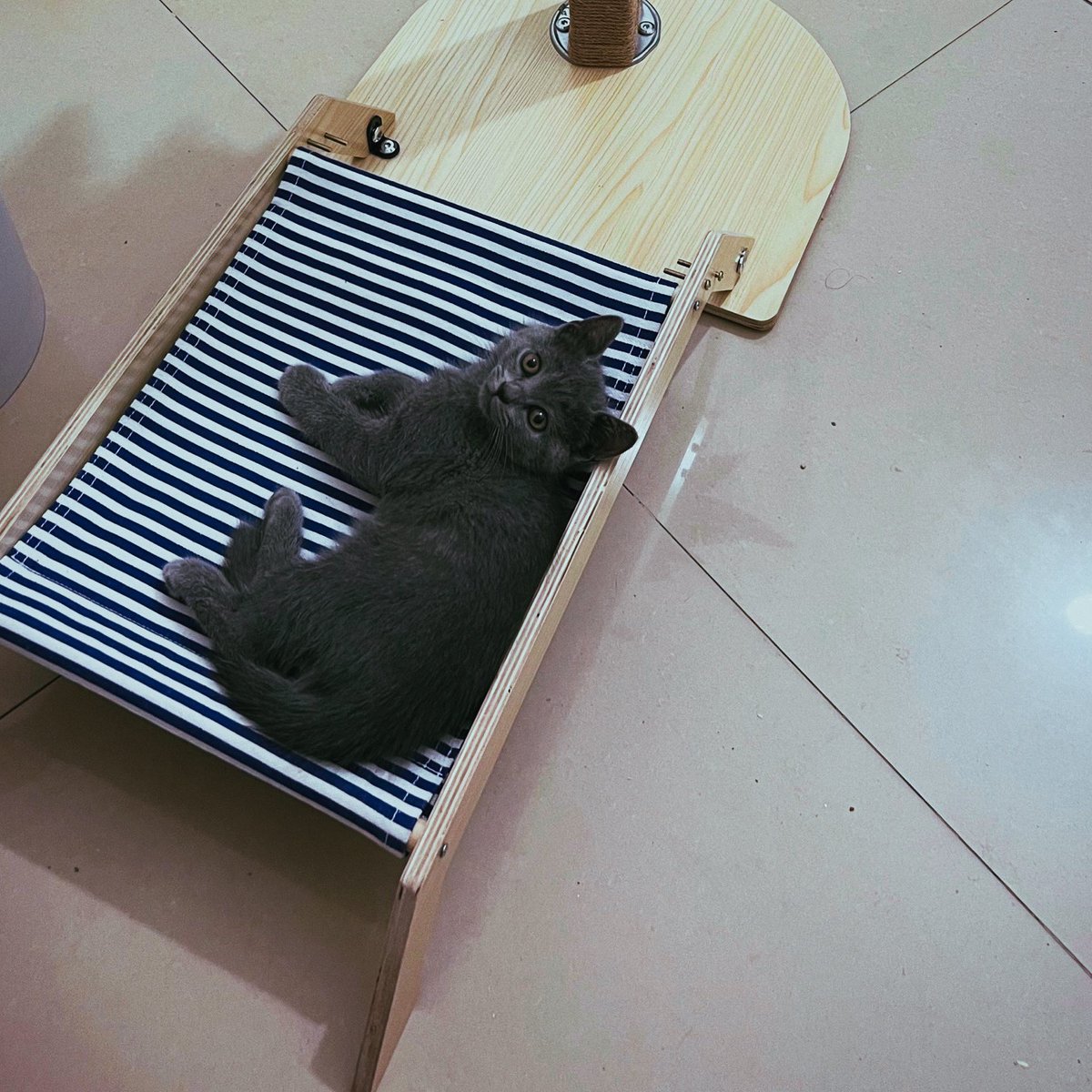 没完工的沙滩椅7师傅也躺得很快乐 https://t.co/dU0sr0zY2q