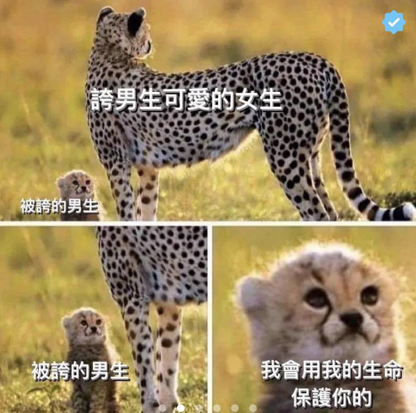 我一直都對男人沒什麼信任感所以我只喜歡可愛的男孩子🥰#信任感 https://t.co/wLMSxfaglP