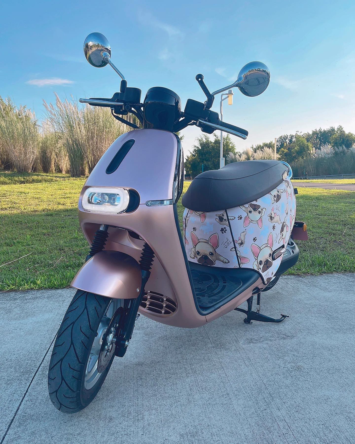 來當個車模哈哈😄先說這台車外型真的蠻美，再來它最吸引我的功能就是倒車鍵，每次我在斜坡要往後退真的會退到歪腰，但有這台確實減輕很多負擔，另外不用插鑰匙這點也是不錯，因為我偶爾會忘了拔就走了，手機也能開鎖喲！對了有apple watch的也能解鎖，超棒的，不知道有沒有及格，歡迎Gogoro 找我代言 https://t.co/4m5MZINwFl