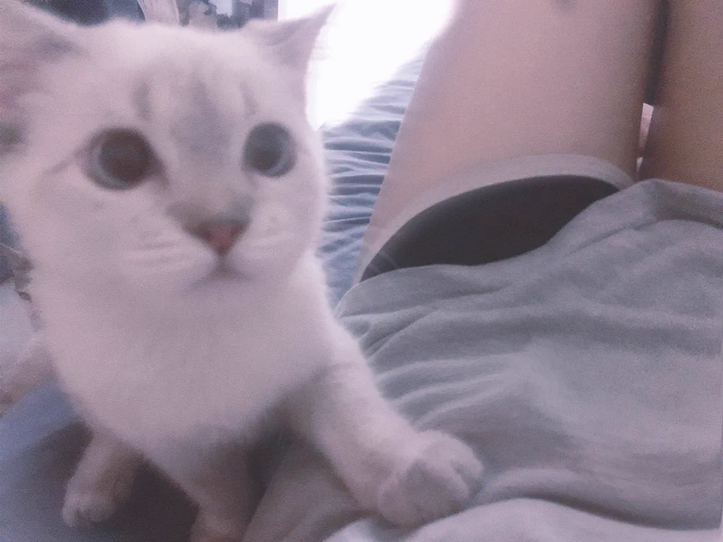 狠rua两下他 &gt;_&lt; https://t.co/EAV7yfYg4Q