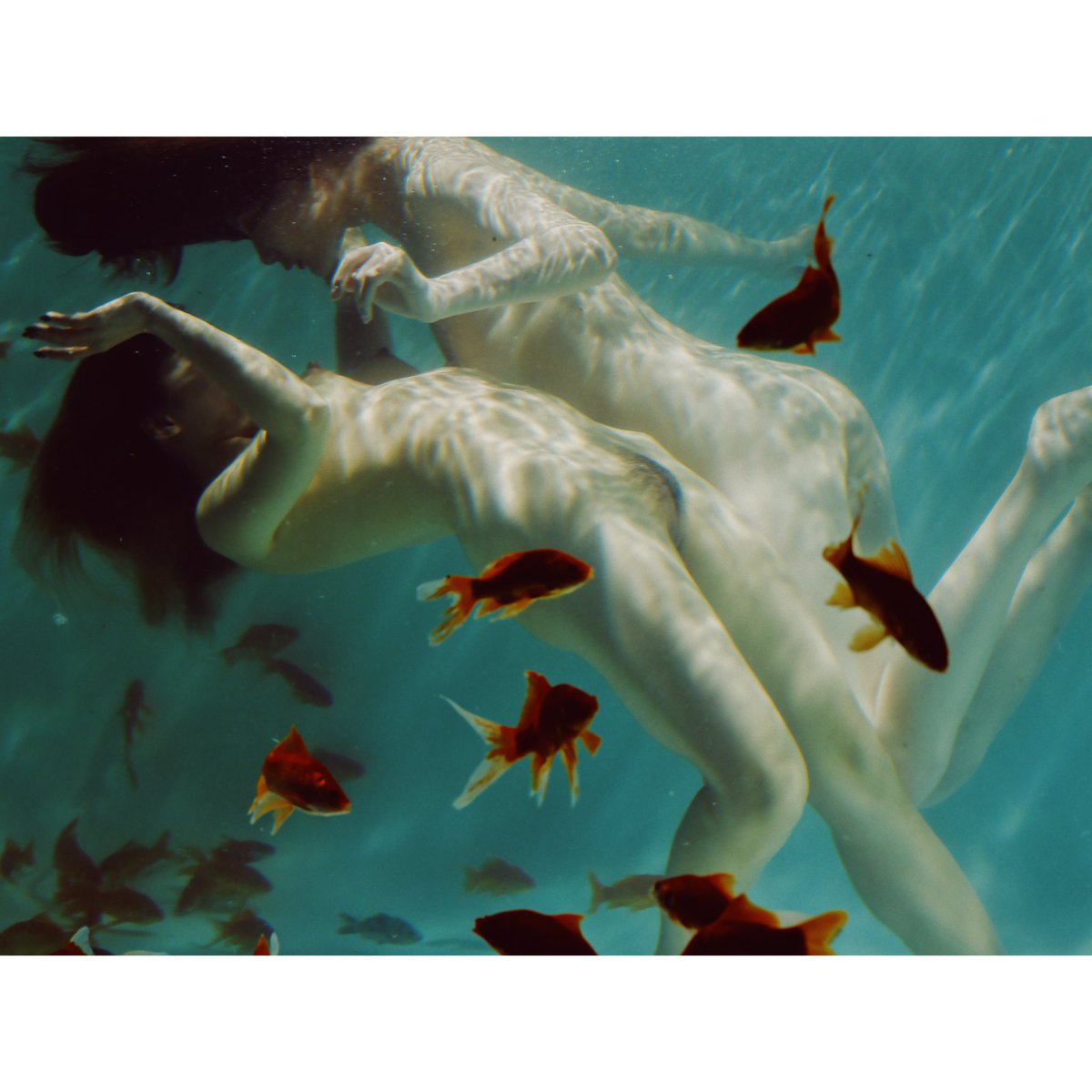 金鱼@RPrettybaby https://t.co/X2b0v11kb9