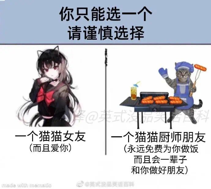 谁会拒绝一个会做饭的猫猫？ https://t.co/hiUmwDiIDs