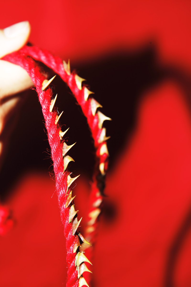 刺 https://t.co/Il21QPh1zI